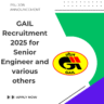 GAIL Recruitment 2025 for Senior Engineer and various others total 14 vacancies out: Know its Eligibility Criteria, age, qualification and application process