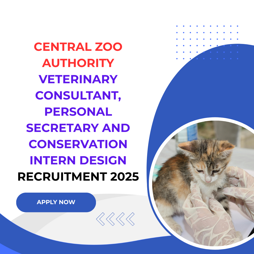 Central Zoo Authority for Veterinary Consultant Personal Secretary and Conservation Intern Design Recruitment 2025: Know its Eligibility Criteria, age, qualification and application process